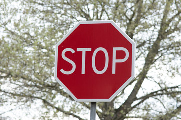 Red stop traffic sign, with trees in the background