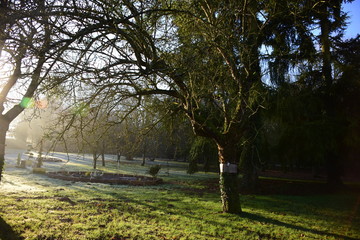 Jardin t&ocirc;t le matin