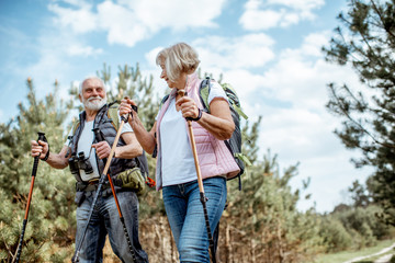 Happy senior couple hiking with trekking sticks and backpacks at the young pine forest. Enjoying nature, having a good time on their retirement - obrazy, fototapety, plakaty