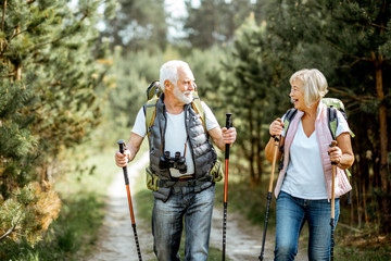 Fototapeta Happy senior couple hiking with trekking sticks and backpacks at the young pine forest. Enjoying nature, having a good time on their retirement obraz