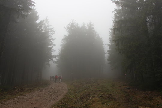 Schwarzwald