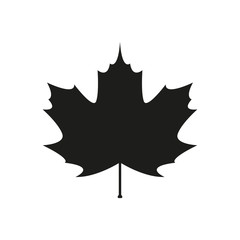 Maple leaf icon. Simple flat vector illustration