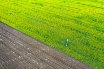 Aerial view of rape field