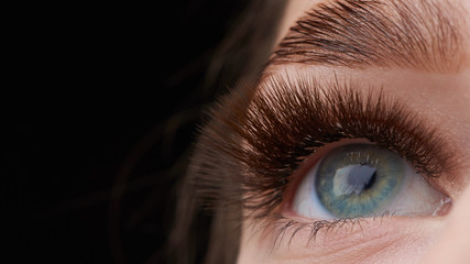 Naklejka premium Beautiful macro photography of a woman's eye with extreme make-up of long eyelashes. Perfect long eyelashes. without cosmetics. Close-up fashion eye visage, lamination eyebrow beautiful