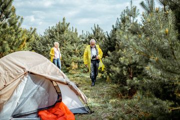 Senior couple in yellow raincoats at the campsite in the young pine forest
