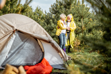 Senior couple in yellow raincoats at the campsite in the young pine forest