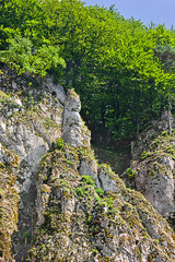 .summer landscape with steep rock and forest