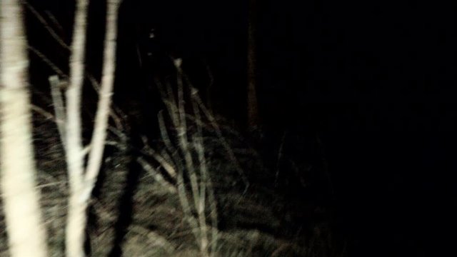 POV steadicam running through dark spooky forest at night. Running away and escaping from scary monsters through the forest, with tree branches all around. Someone is chasing and you're getting away.