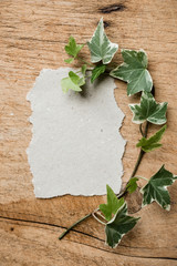 Botschaft - Zettel auf Holz mit Efeu