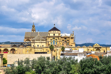 Fototapeta na wymiar Long distance view of The Great Mosque or Catholic cathedral. Cordoba, Spain.
