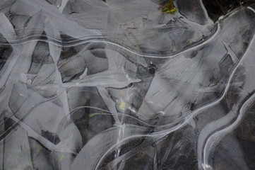 自然のアート　凍結