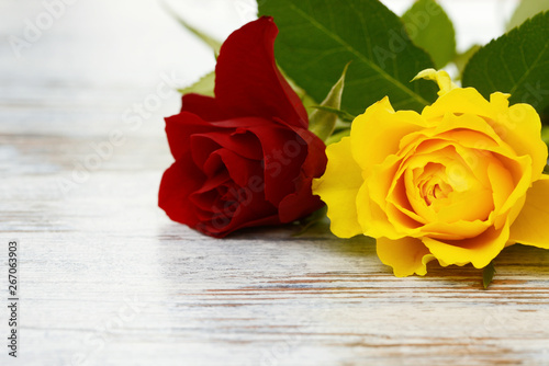 red and yellow roses lying on wood