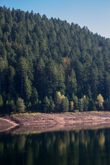 reflections at the reservoir "kleine Kinzig" in Germany
