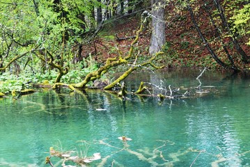 parco nazionale di Plitvica. Croazia
