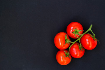Organic red tomatoes with a green twig handful, lie on a black chalk board background. There is a place for text.