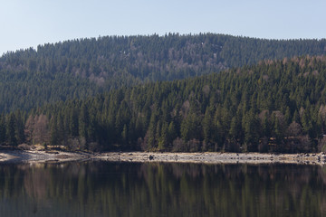 reflections on a lake