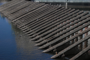 wooden structure in the river