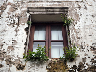 Wooden Window on the Old Concrete Wall of the Abandoned Building
