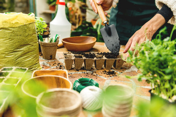 Female hand Planting seeds in organic pots