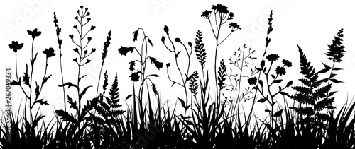 Download Black Silhouettes Of Meadow Wild Herbs And Flowers Wildflowers Floral Background Wild Grass Vector Illustration Wall Mural Vetochka