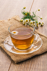 Glass cup of green tea with white chamomile flowers.