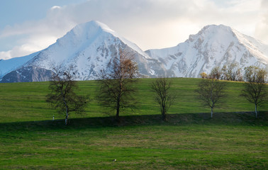 Wiosna w górach © zibi