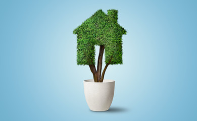 House Shape Tree - Ecology concept