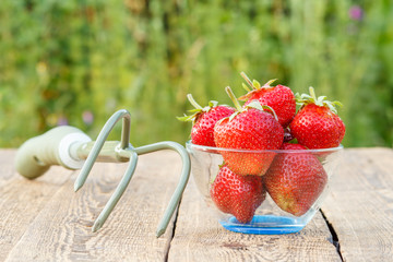 Red ripe strawberries in glass bowl and rake on old wooden boards.