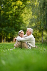 Fototapeta premium Portrait of elderly couple sitting on green grass in the summer park