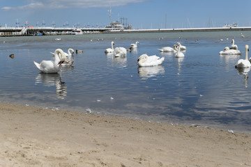 Sopot an der polnischen Ostsee