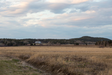 Fototapeta na wymiar Dry fields and old barn seen in the distance during a beautiful spring evening, Cacouna, Quebec, Canada