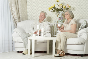 Portrait of happy senior couple resting at home with tea cups