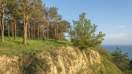 Fototapeta na wymiar Landscape. view from the mountain to the reservoir
