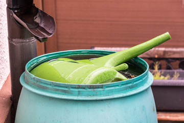 Watering can in a water container. Water to water the garden