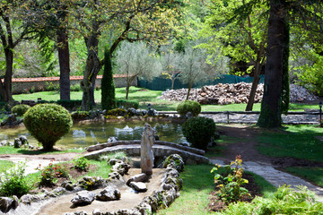 Nature on Lake Ohrid. Macedonia
