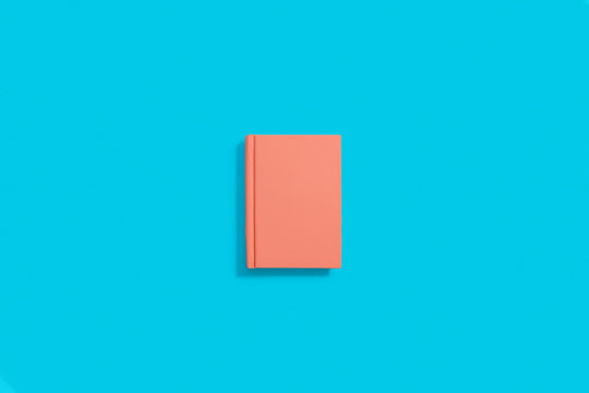 Orange hardcover notebook lying flat on a pastel blue background with a center composition on a landscape image.  Copy space and room for text.