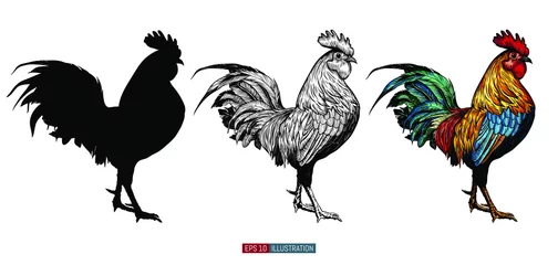 Foto op Plexiglas Hand drawn roosters set.  Engraved style vector illustration. Template for your design works. © Oleksandr