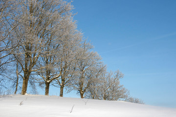 tipical winter landscape in the Latvia