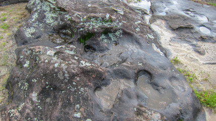 rain water standing in water worn rocks