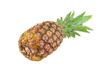 Single whole fresh ripe pineapple with green leaves isolated on white background. Vertical orientation
