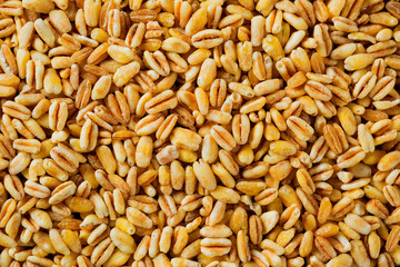 tender wheat kernels
