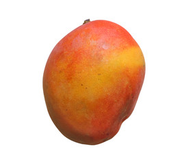 A mango fruit