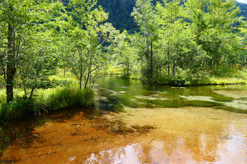 Obraz premium 中部山岳国立公園。上高地の景勝地、田代池。松本 長野 日本。８月下旬。