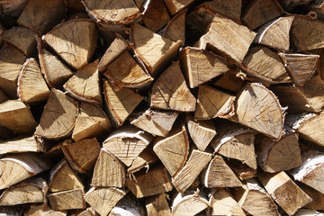 Pile of firewood , Stacks of firewood in the forest.