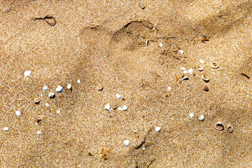 Fototapeta na wymiar Sand texture. Abstract background of the sand. 