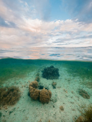 Coral reef underwater on island and fluffy clouds on the horizon.