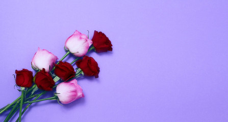 Send flowers online concept. Flower delivery for valentine and mother day. Bouquet of red pink roses isolated on violet background. Post card design with beautiful nature rose. Top view. copy space.