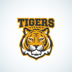 Tiger Team Abstract Vector Sign, Emblem or Logo Template. Classic Sport Mascot Label. Predator Animal Face with Typography.