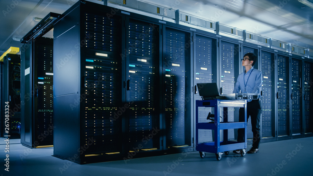 Poster In the Modern Data Center: IT Engineer Doing Maintenance and Diagnostics. Pushes Cart alongside Server Racks, Ready to Install New Hardware for Planned System Update, Equipment Replacement.