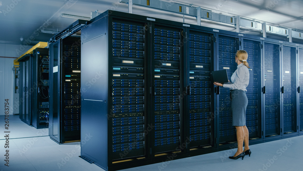 Leinwandbilder in data center: female it technician stands near rack cabinet and runs maintenance program on laptop